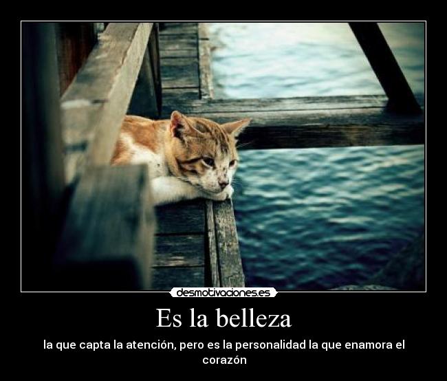 Es la belleza -
