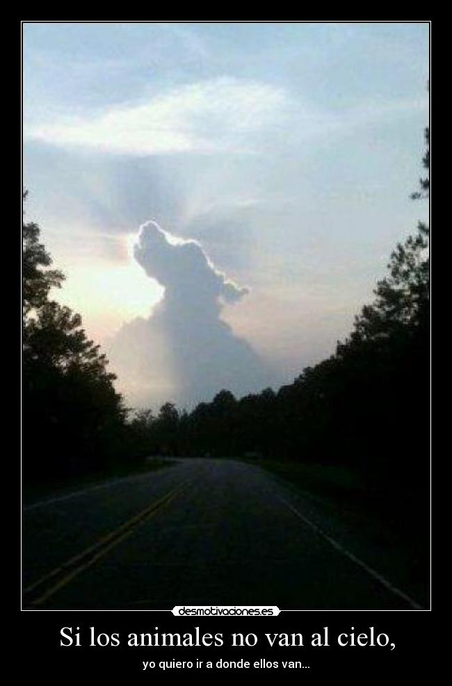 Si los animales no van al cielo, -