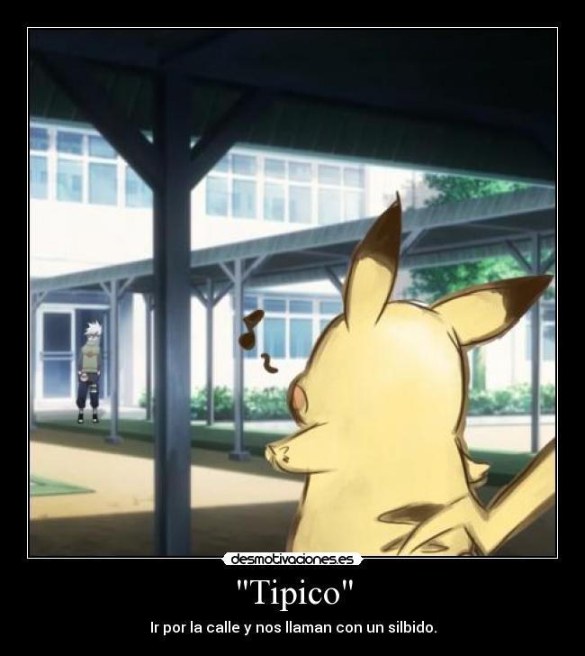 Tipico - 