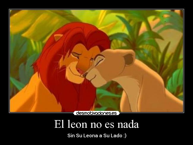 carteles leon simba leona amor desmotivaciones