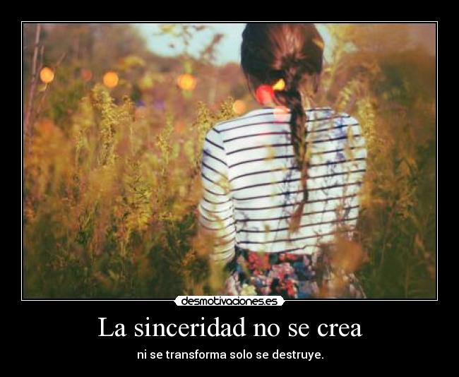 La sinceridad no se crea -