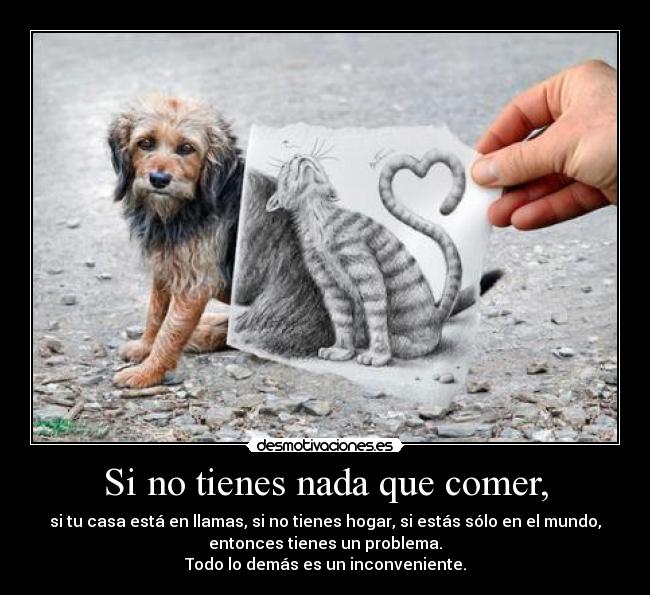 Si no tienes nada que comer, - 