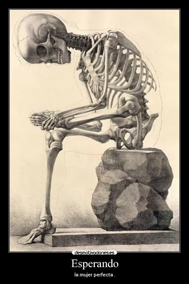 Esperando - la mujer perfecta .