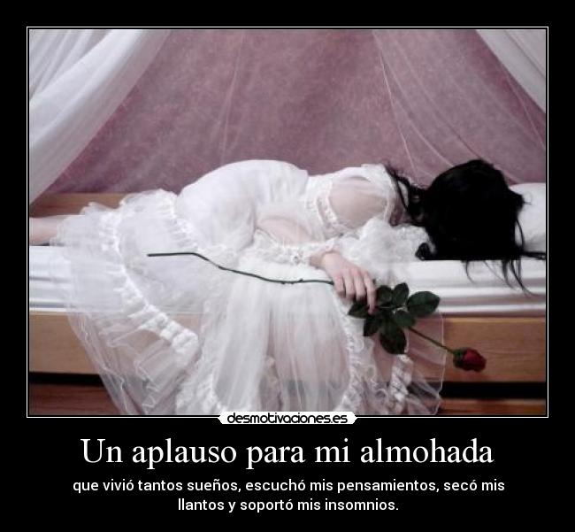 Un aplauso para mi almohada -