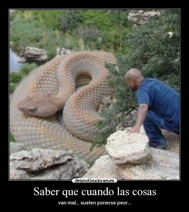 Saber que cuando las cosas - van mal... suelen ponerse peor...