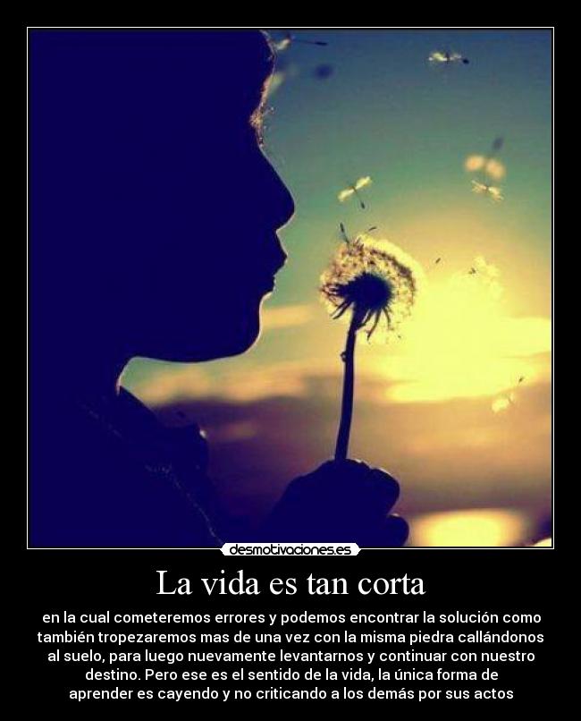 La vida es tan corta - en la cual cometeremos errores y podemos encontrar la solución como
también tropezaremos mas de una vez con la misma piedra callándonos
al suelo, para luego nuevamente levantarnos y continuar con nuestro
destino. Pero ese es el sentido de la vida, la única forma de
aprender es cayendo y no criticando a los demás por sus actos