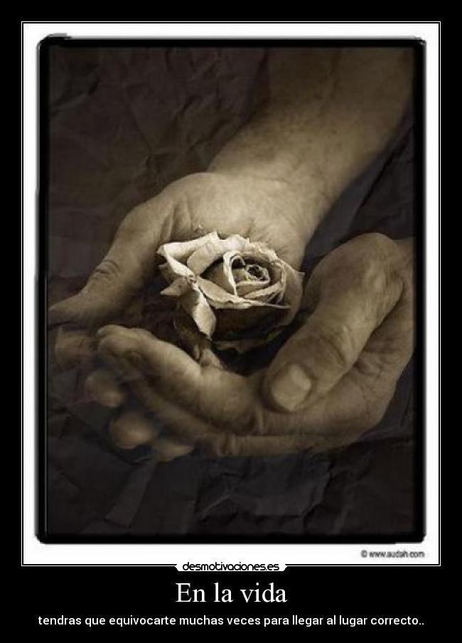 En la vida -