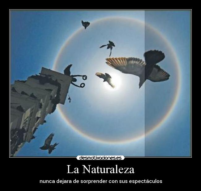 La Naturaleza - nunca dejara de sorprender con sus espectáculos