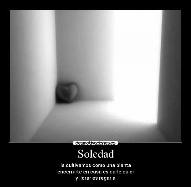 Soledad - la cultivamos como una planta
encerrarte en casa es darle calor
y llorar es regarla