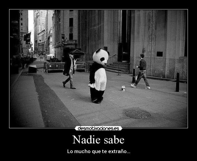Nadie sabe - 