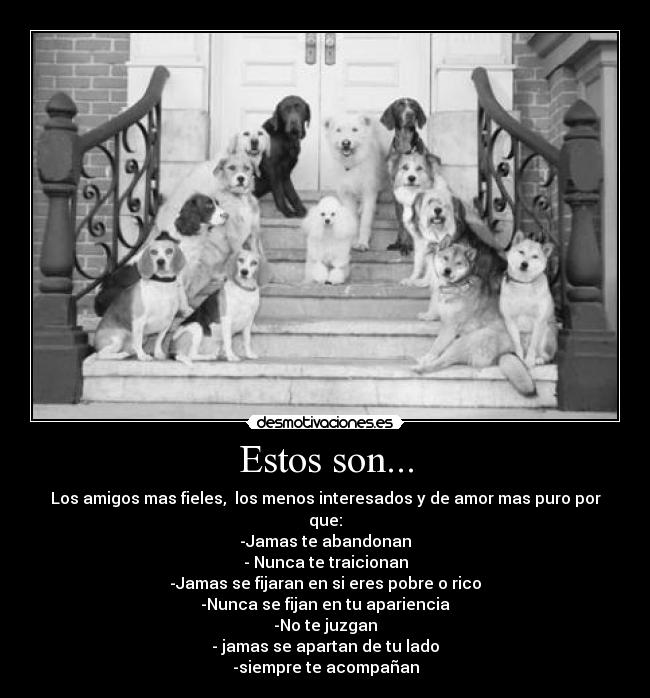 Estos son... -