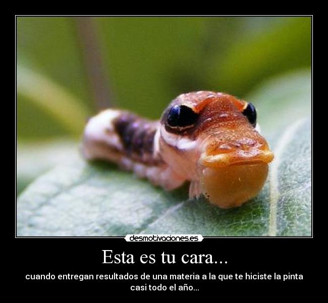 Esta es tu cara... -