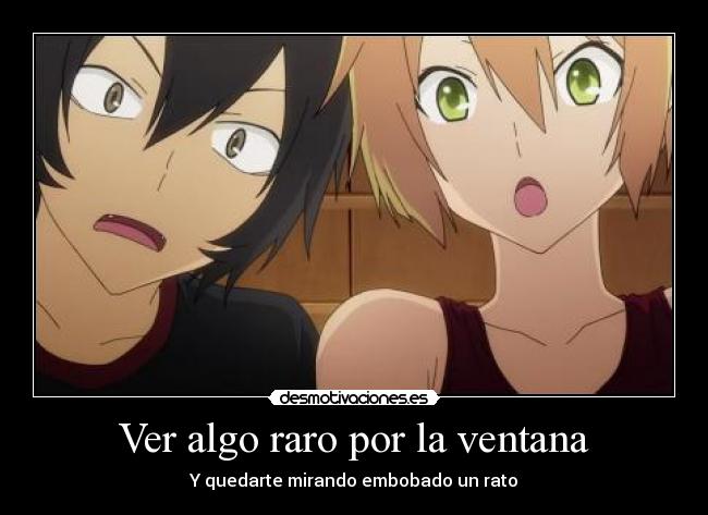 Ver algo raro por la ventana -