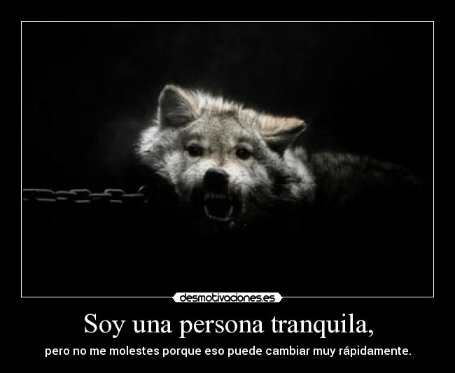 Soy una persona tranquila, -