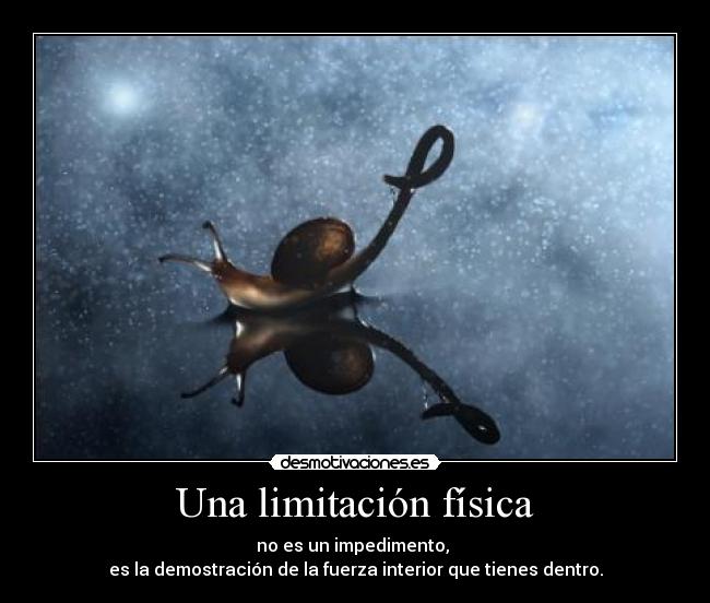 carteles merdasenbote rules dobleeme haciendo honor nombre desmotivaciones