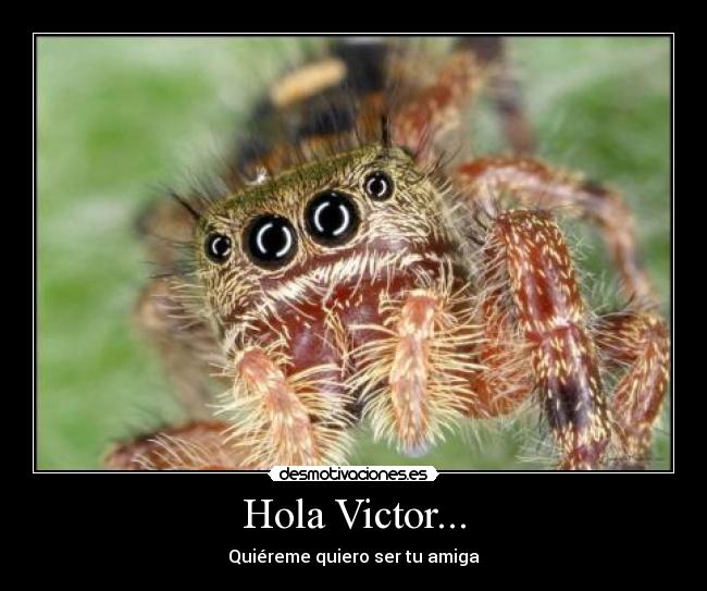 Hola Victor... - Quiéreme quiero ser tu amiga