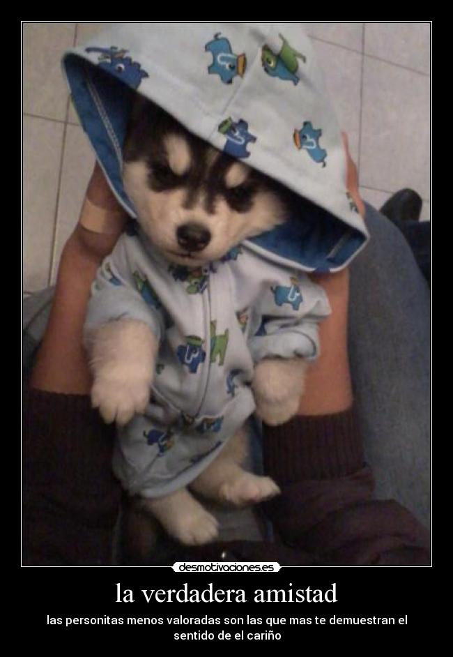 la verdadera amistad -