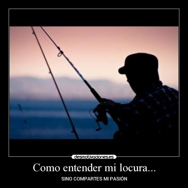 Como entender mi locura... - 