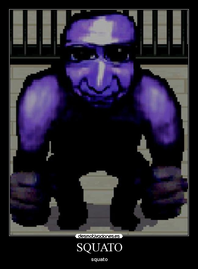 SQUATO - squato