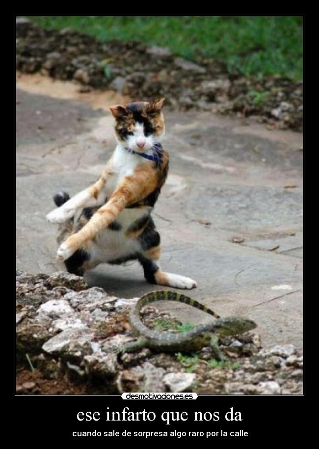 ese infarto que nos da -