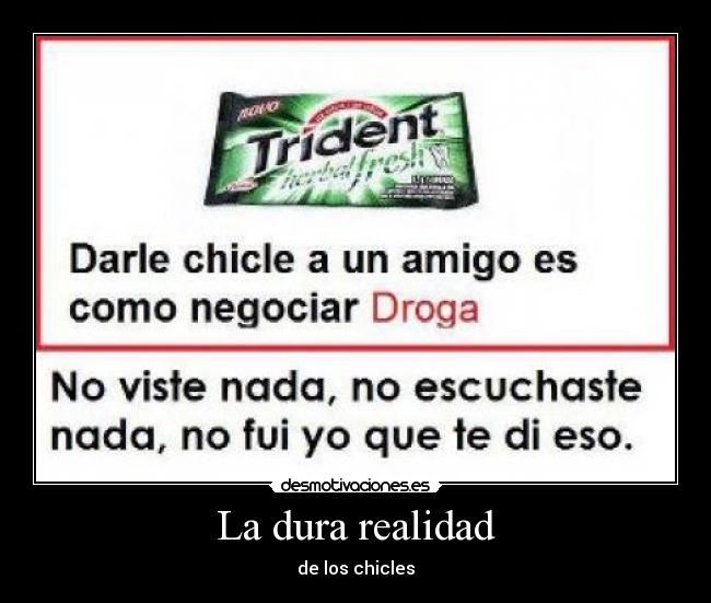 La dura realidad - de los chicles