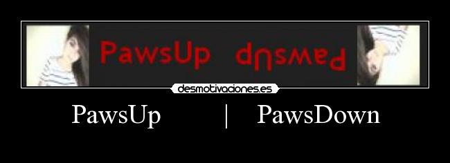 PawsUp | PawsDown -
