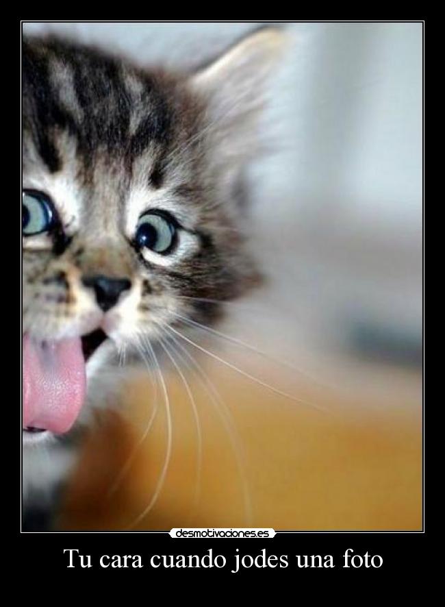 carteles jode fotos desmotivaciones