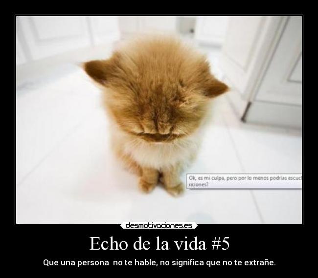 Echo de la vida #5 - Que una persona no te hable, no significa que no te extrañe.
