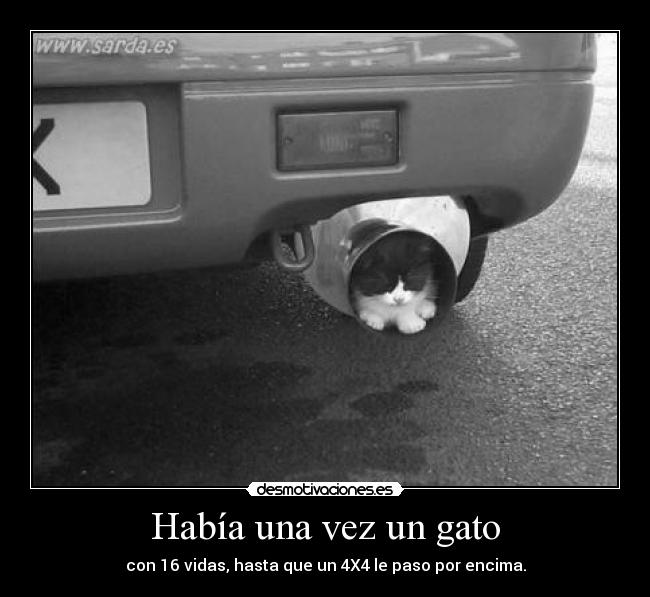 Había una vez un gato - con 16 vidas, hasta que un 4X4 le paso por encima.