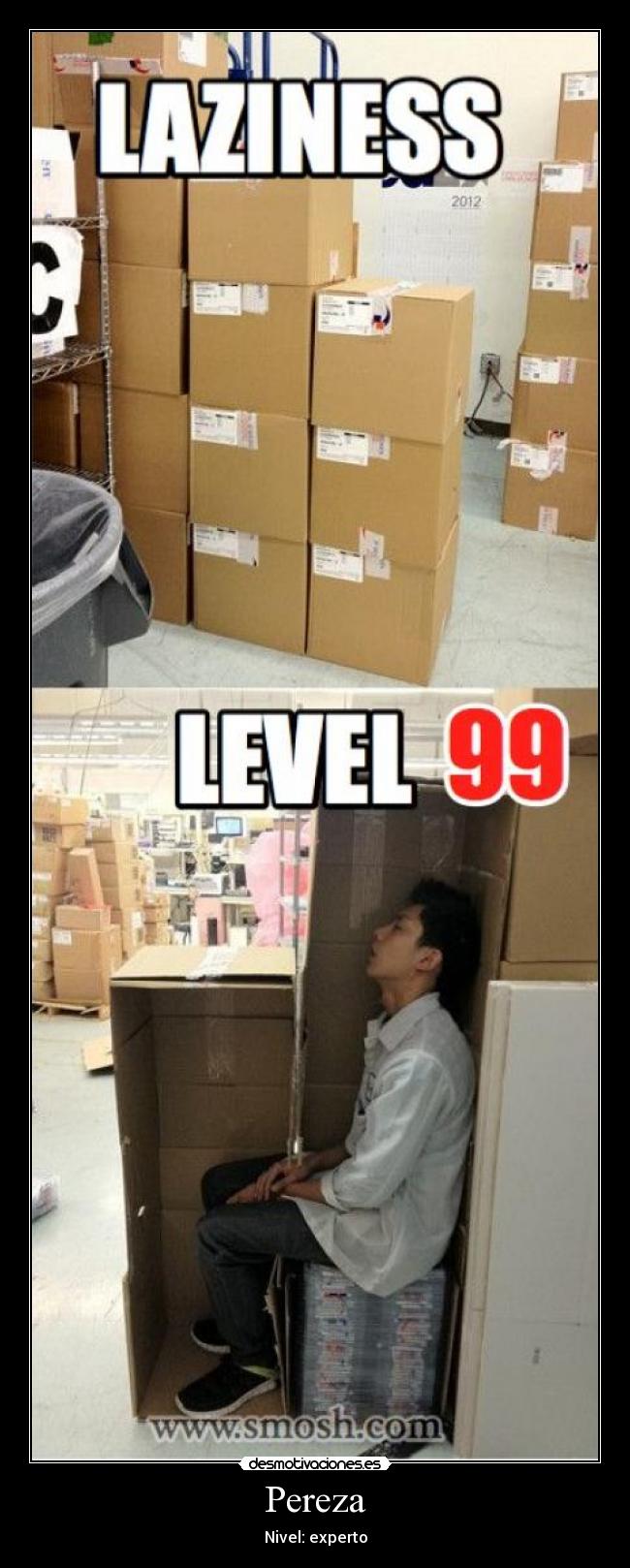 Pereza - Nivel: experto
