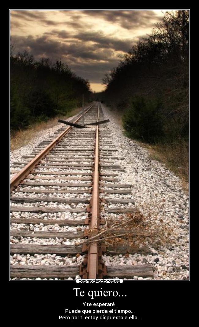 Te quiero... - 