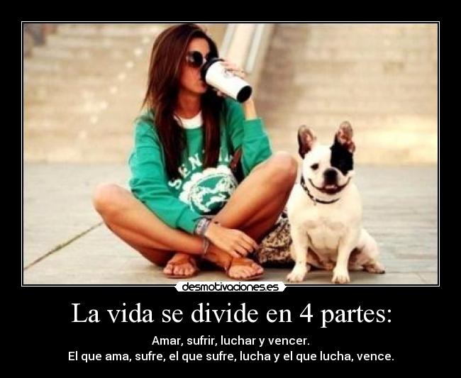 carteles vida emoxiitah15 desmotivaciones