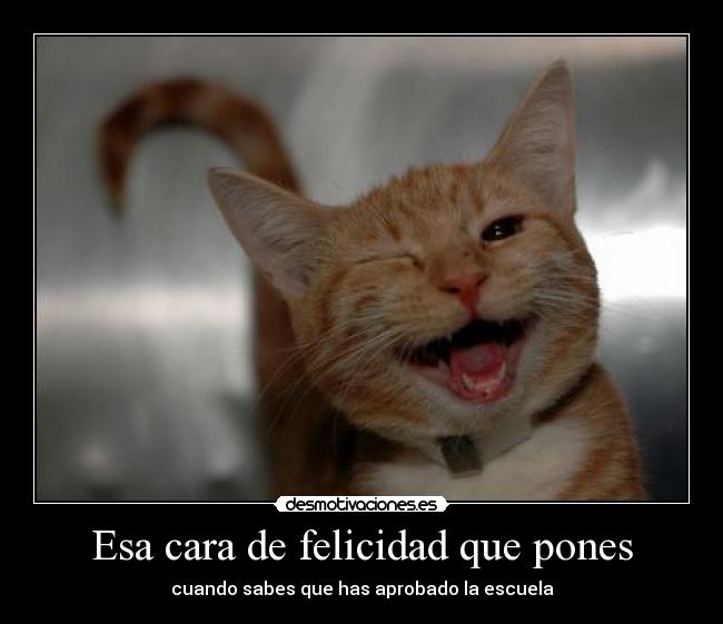 Esa cara de felicidad que pones - cuando sabes que has aprobado la escuela
