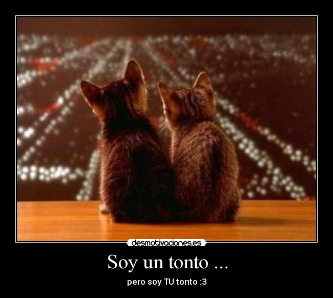 Soy un tonto ... - 