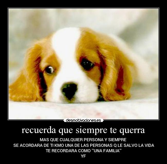 carteles lala desmotivaciones