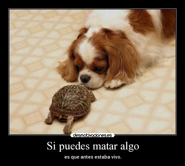 Si puedes matar algo - es que antes estaba vivo.
