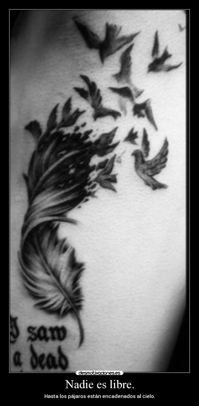 Nadie es libre. - Hasta los pájaros están encadenados al cielo.
