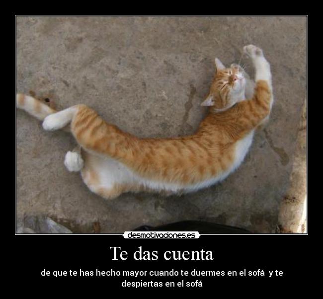 Te das cuenta - de que te has hecho mayor cuando te duermes en el sofá y te despiertas en el sofá