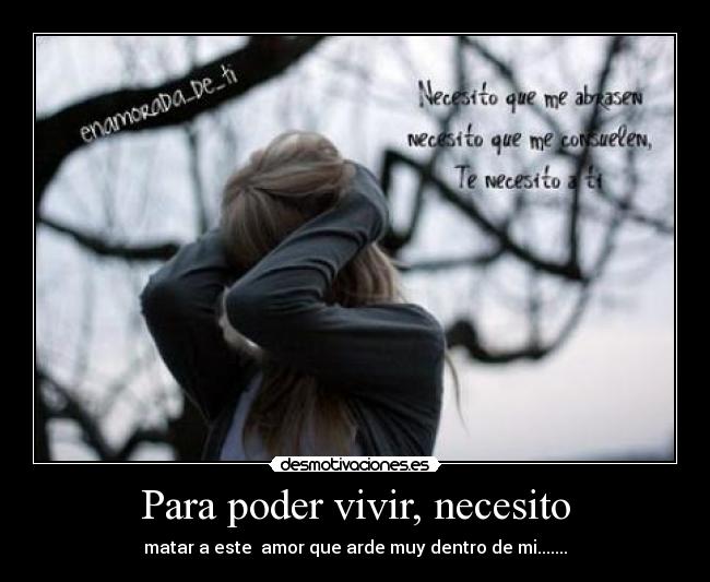 carteles jessy lady joss desmotivaciones