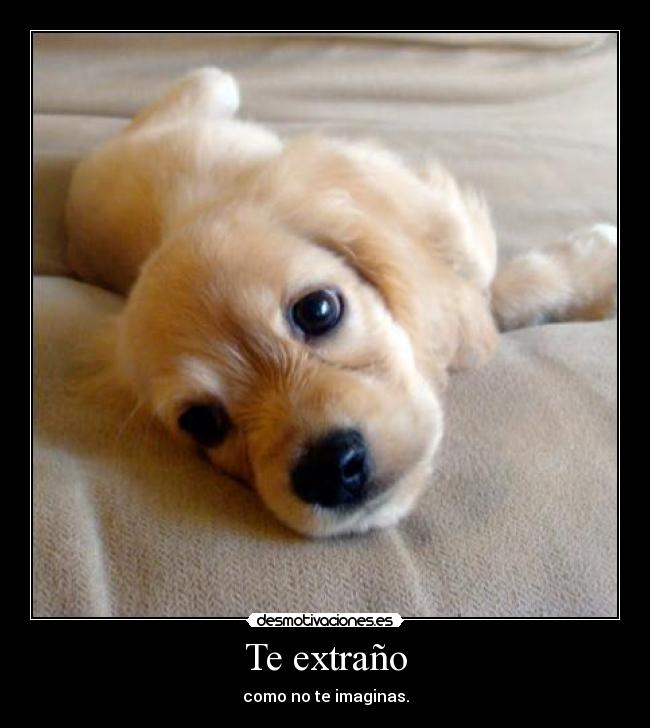 Te extraño - como no te imaginas.