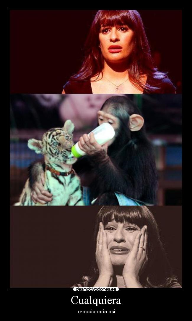 Cualquiera - reaccionaria asi