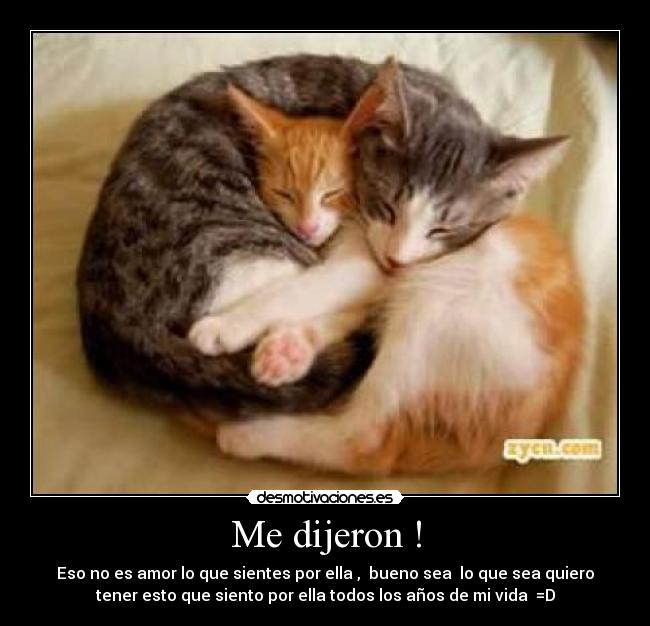 carteles iruchima desmotivaciones