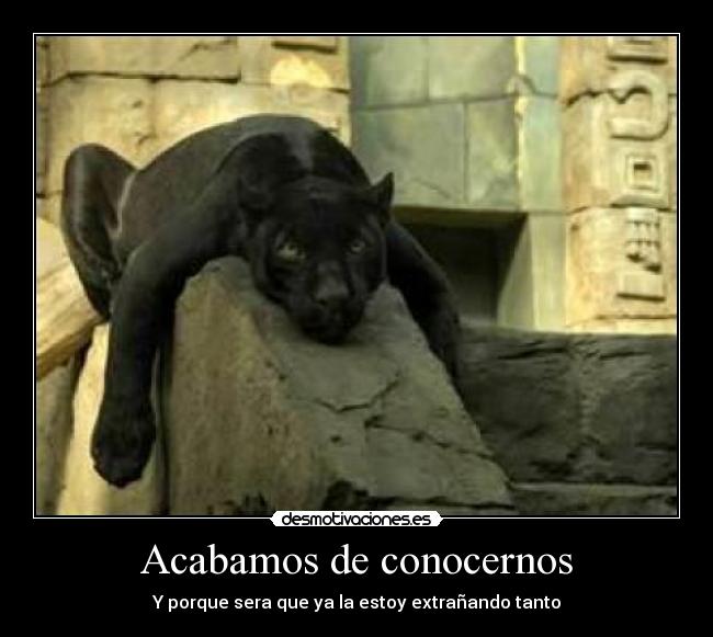 Acabamos de conocernos - Y porque sera que ya la estoy extrañando tanto