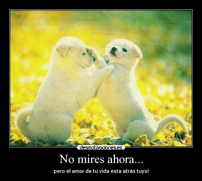 No mires ahora... - pero el amor de tu vida esta atrás tuyo!