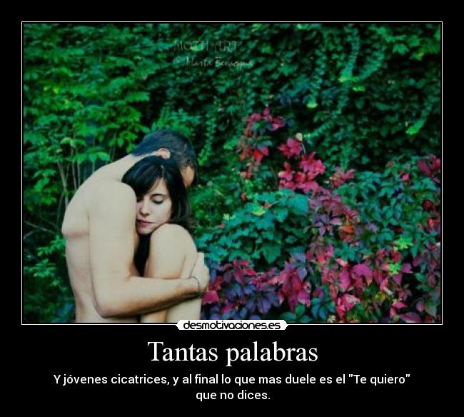 Tantas palabras - Y jóvenes cicatrices, y al final lo que mas duele es el Te quiero que no dices.