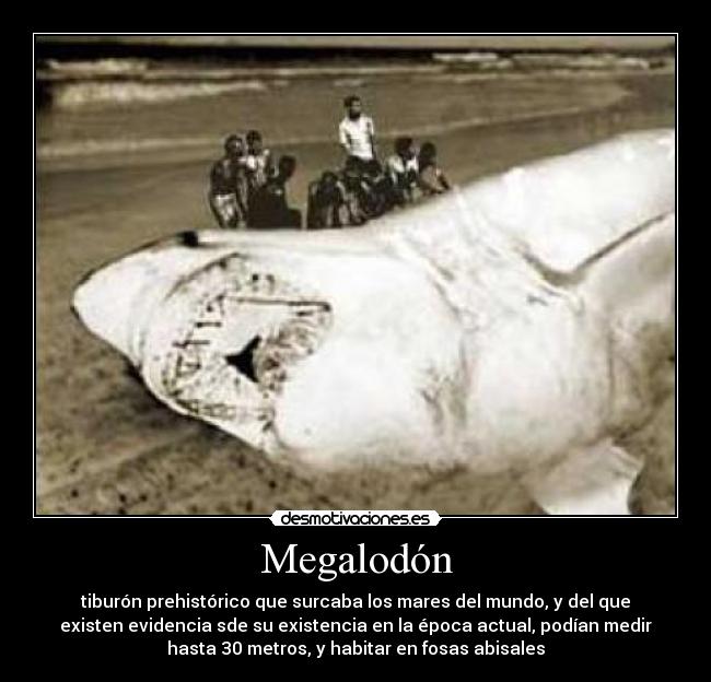 carteles  desmotivaciones