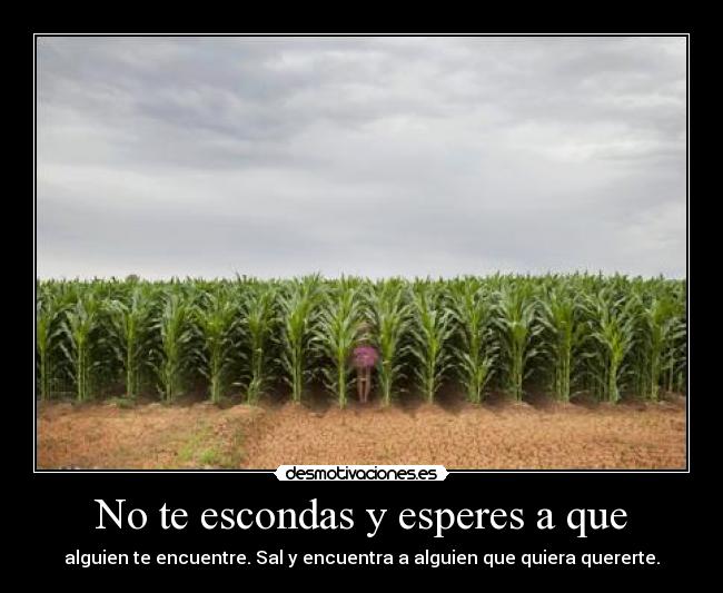 No te escondas y esperes a que - 