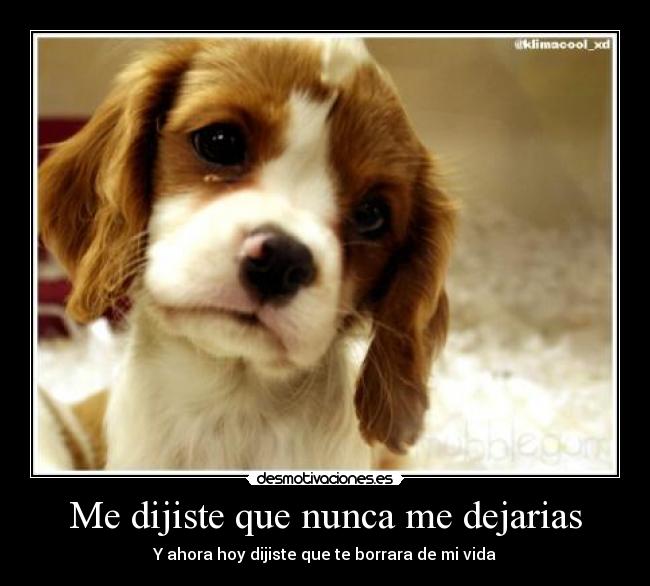 Me dijiste que nunca me dejarias - 