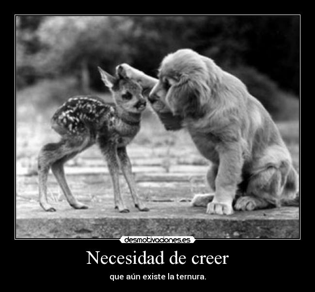 Necesidad de creer - 
