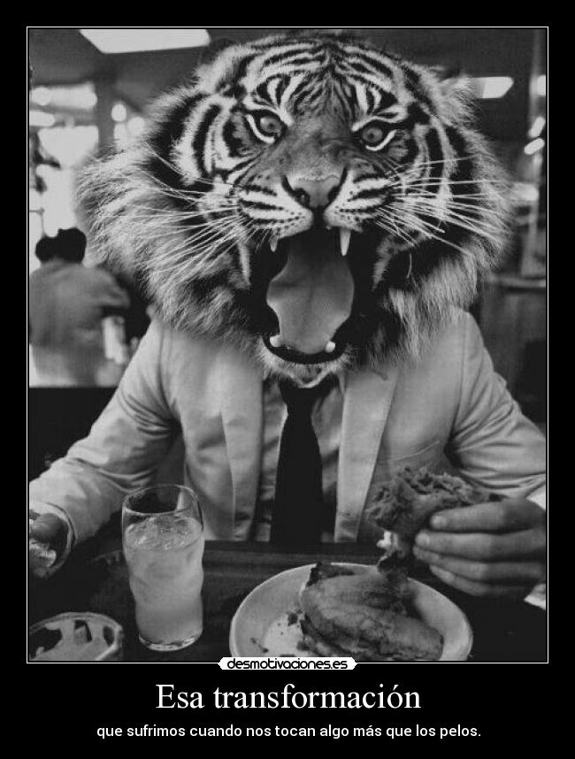 Esa transformación - que sufrimos cuando nos tocan algo más que los pelos.